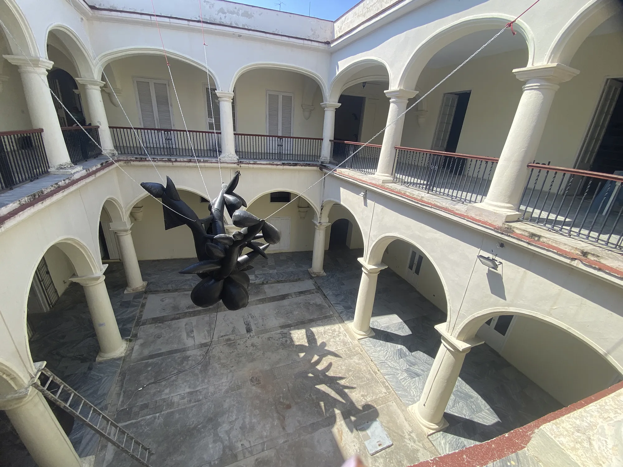 ceiba_lam 2024