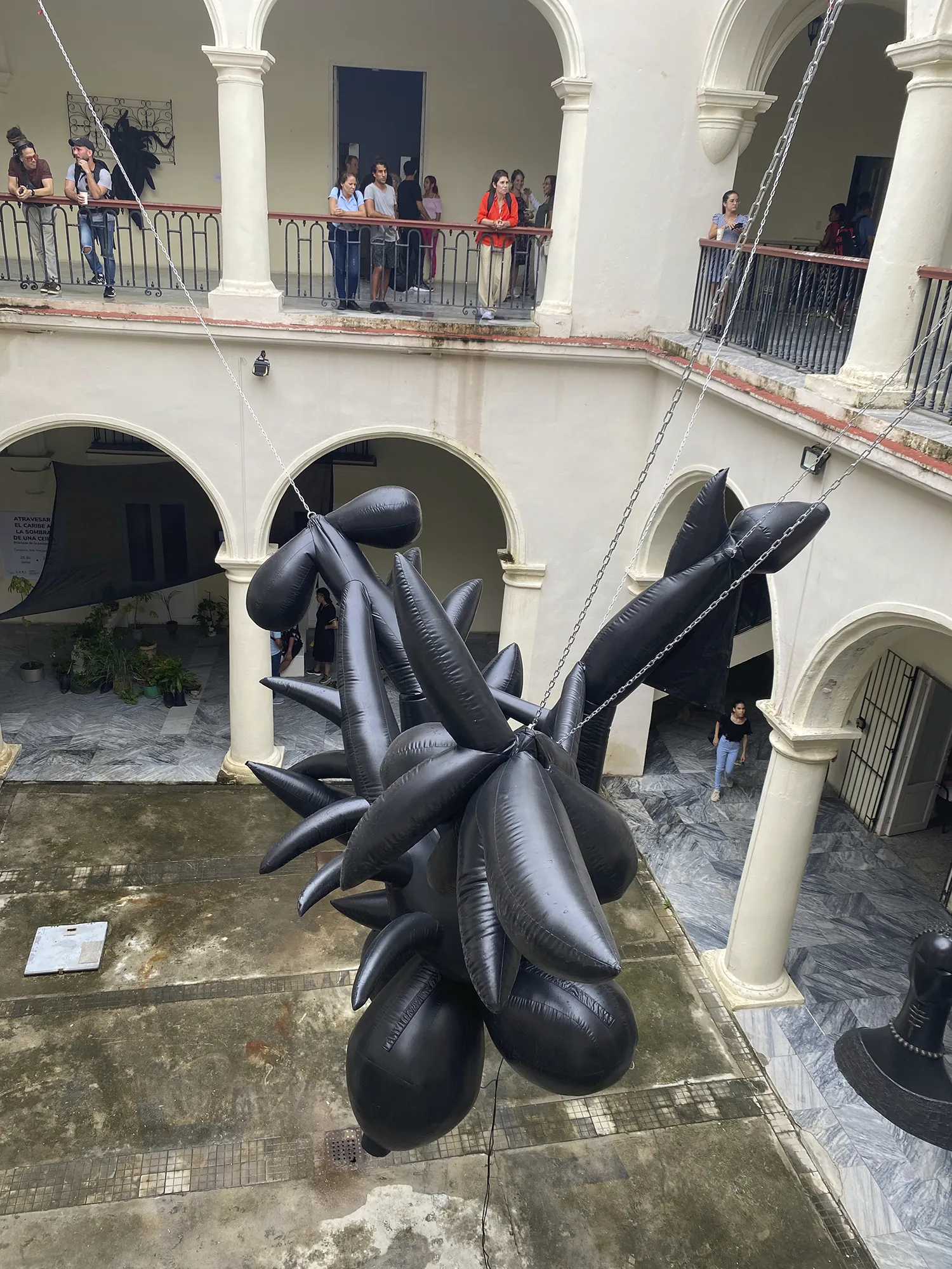 ceiba_lam 2024