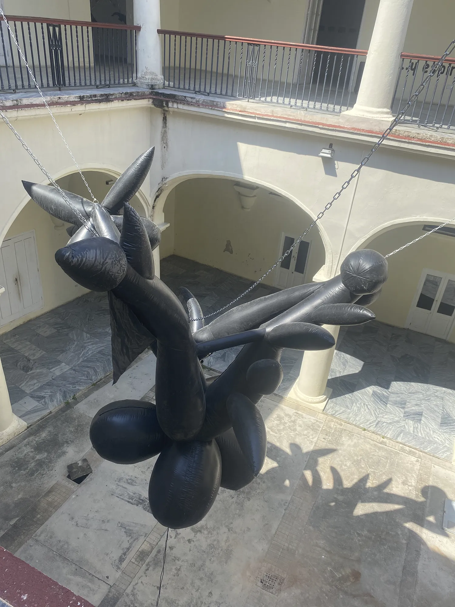 ceiba_lam 2024