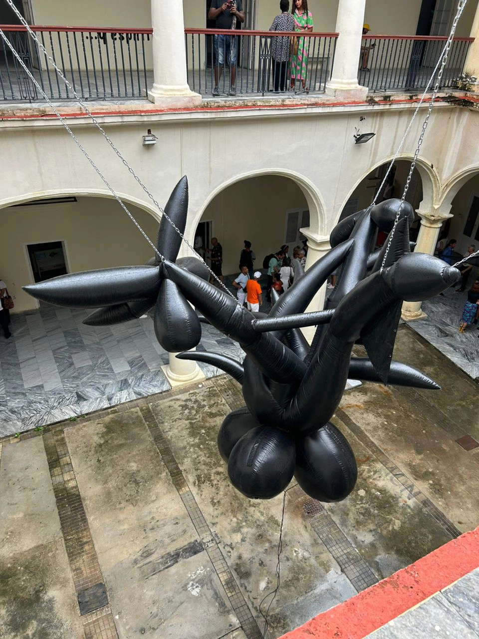 ceiba_lam 2024