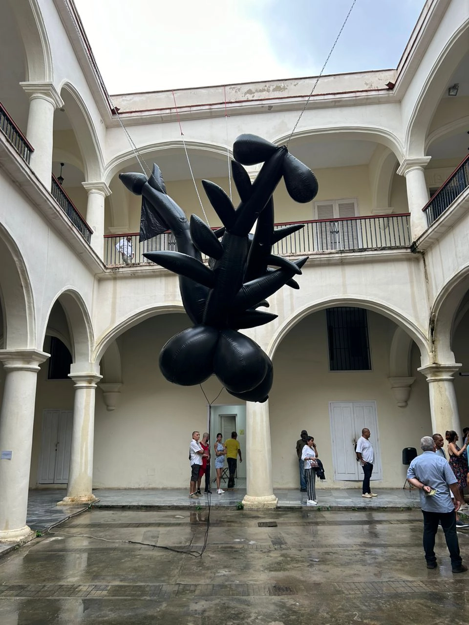 ceiba_lam 2024
