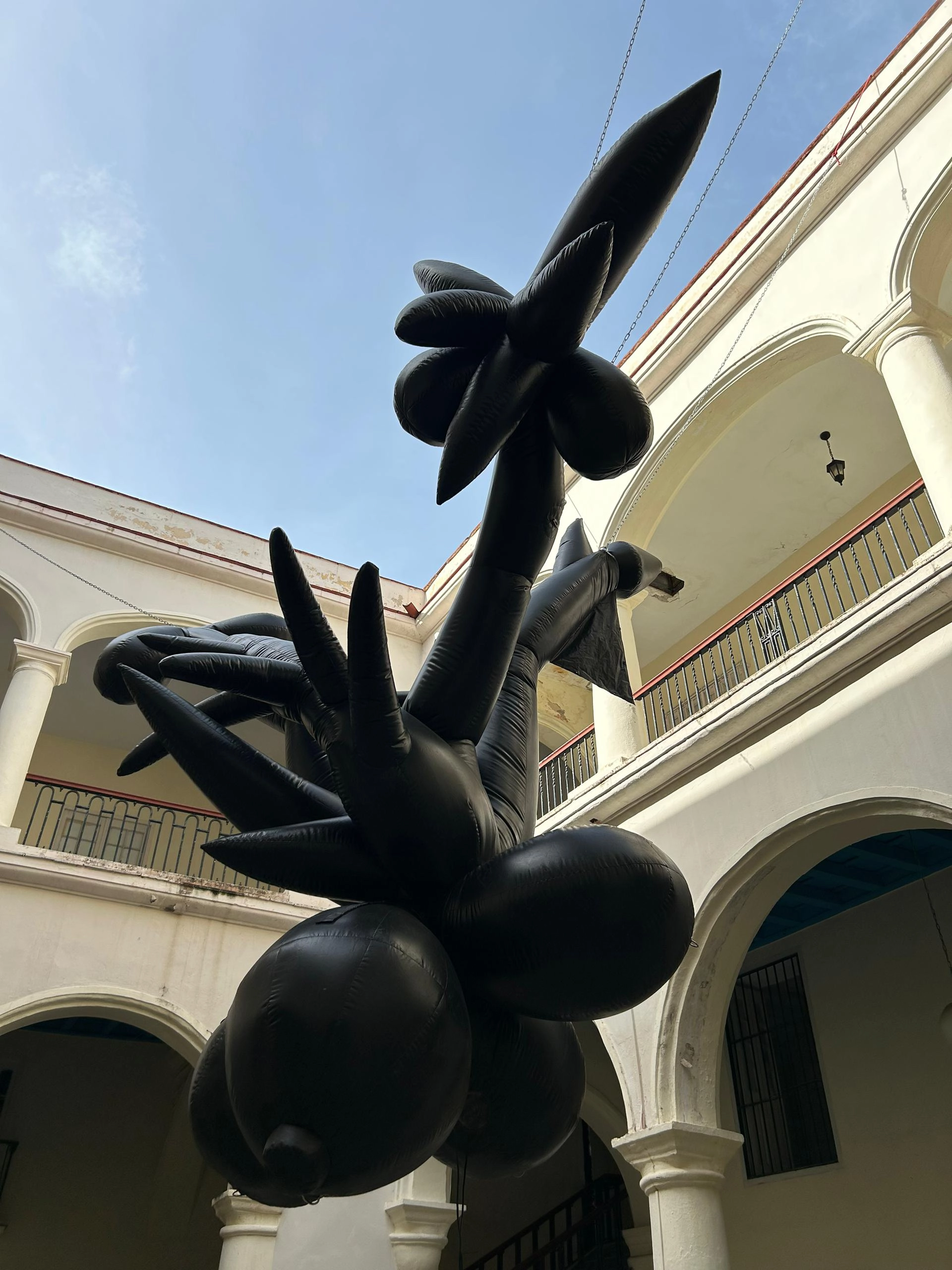 ceiba_lam 2024