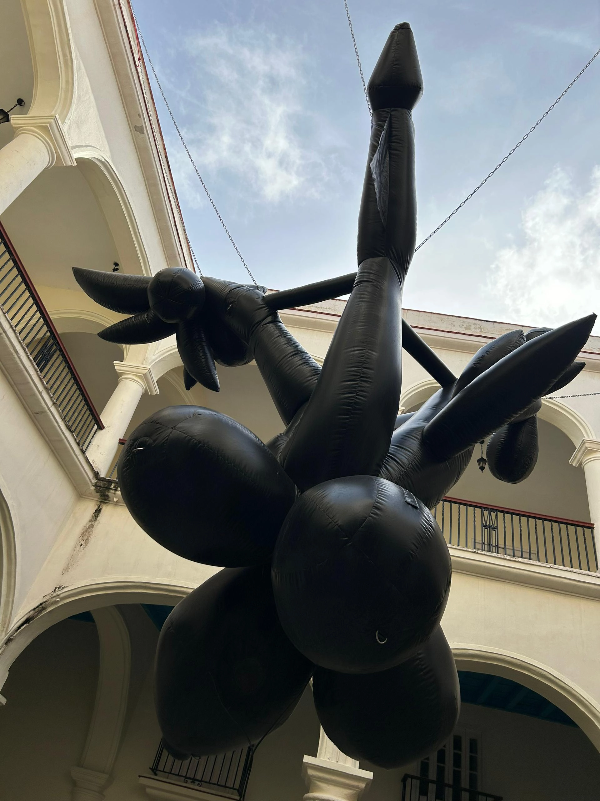 ceiba_lam 2024