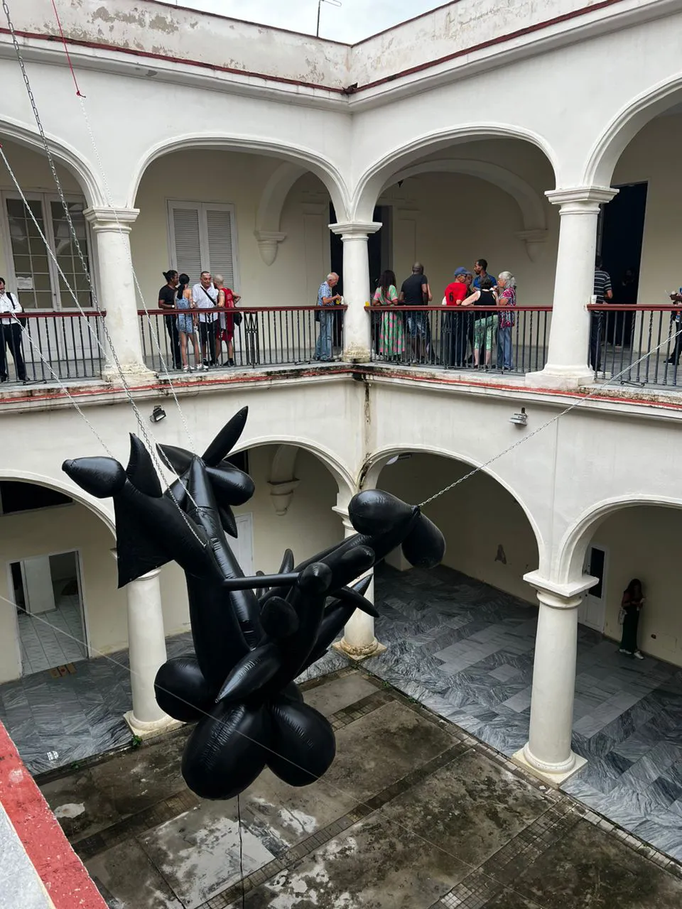 ceiba_lam 2024