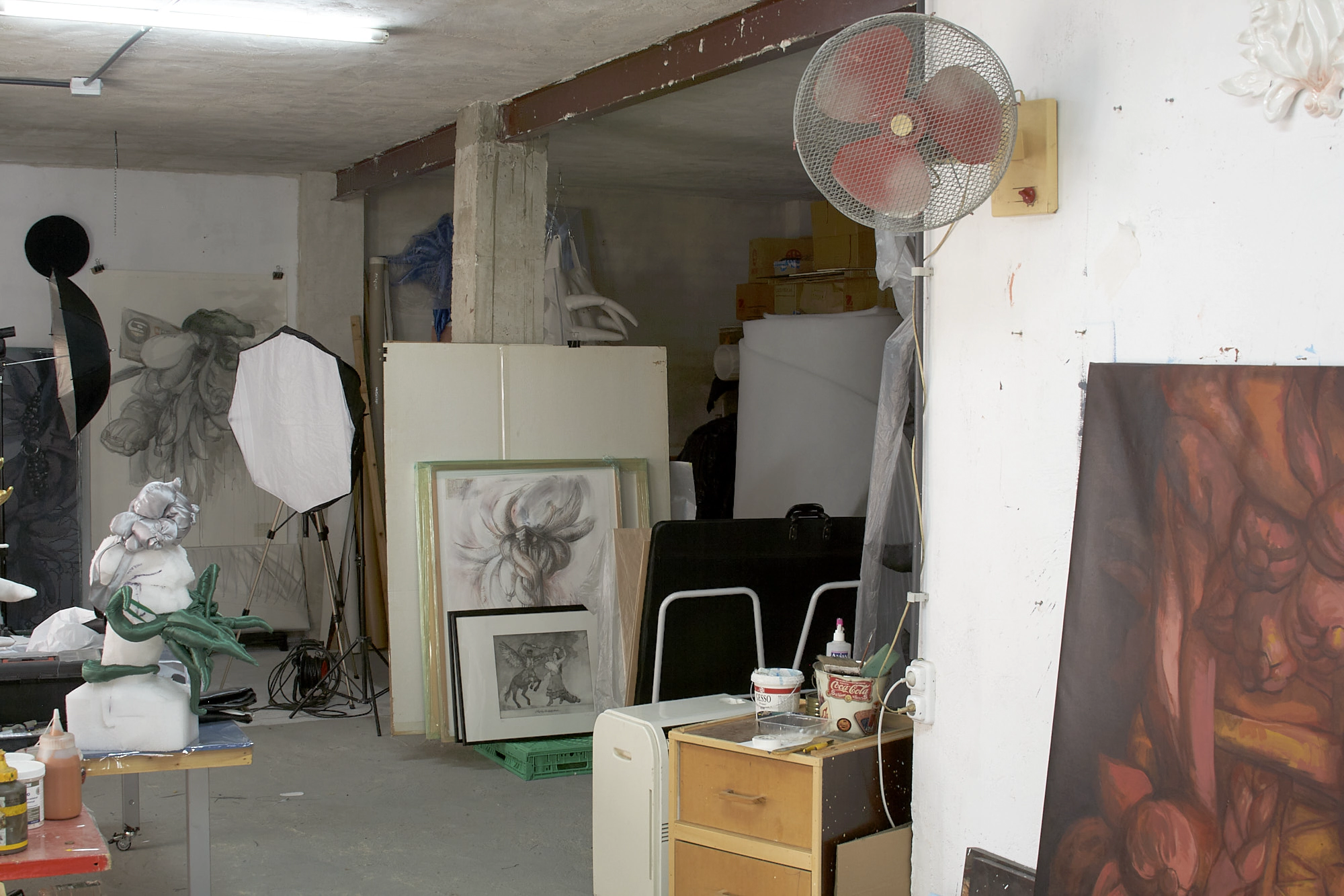 studio Elche