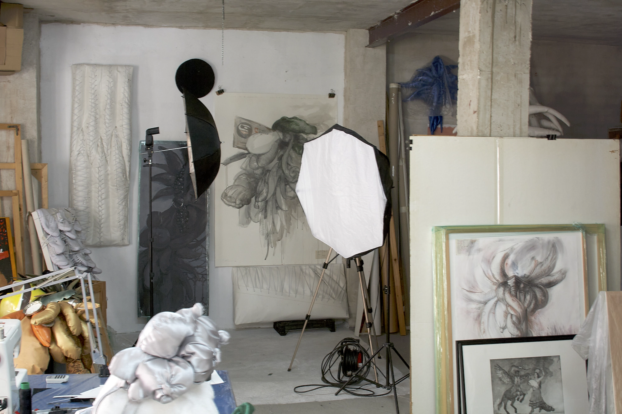studio Elche